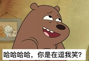 神木驚現(xiàn)“神兔網(wǎng)絡(luò)”？警方追查盜竊團(tuán)伙